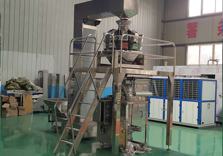 給袋包裝機(jī)Bagging machine