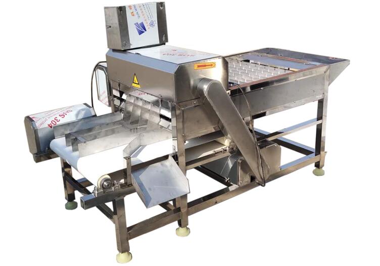 帶魚(yú)刀魚(yú)切段機(jī)—Belt fish cutter