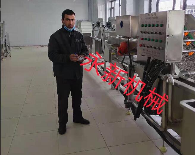 果蔬清洗風(fēng)干加工線(xiàn)Cleaning and air drying processing line for fruits and vegetables