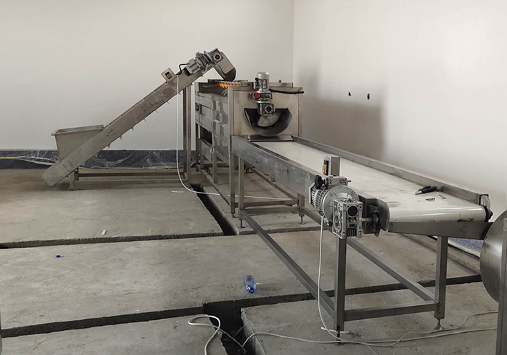 土豆清洗去皮機(jī)Potato washing and peeling machine